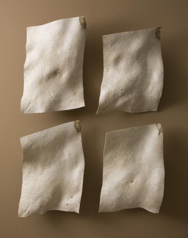 Burchard, Christian. Torsos (detail), 2005. Bleached madrone burl. Collection of the artist. Photo: Rob Jaffe