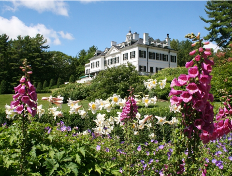The Mount with lillies and foxglove - Photograph by David Dashiell